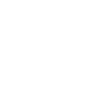 Pelvital USA, Inc. (Flyte)