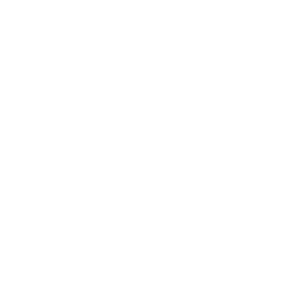 Primary Record